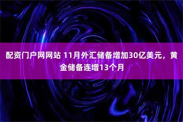 配资门户网网站 11月外汇储备增加30亿美元,黄金储备连增13个月