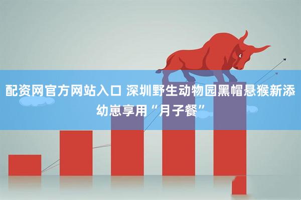 配资网官方网站入口 深圳野生动物园黑帽悬猴新添幼崽享用“月子餐”